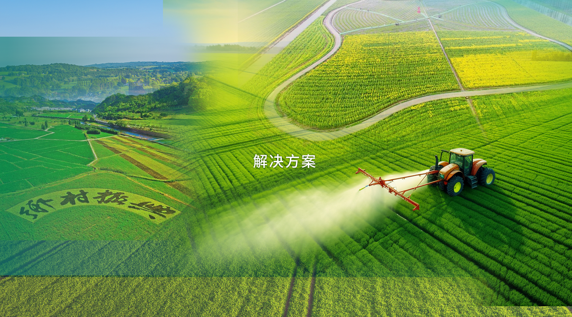 解决方案