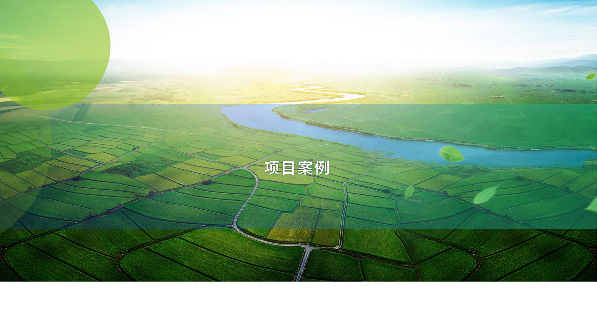 项目案例